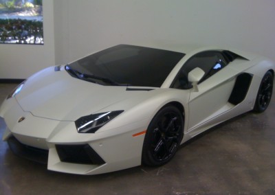 Lamborghini Window Tint