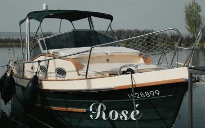 Professional Boat Decal Installation: San Diego Marine Vinyl Wrap Experts